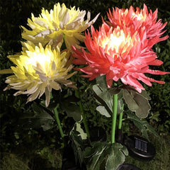 Lot de 2 lampes solaires de jardin en forme de chrysanthème