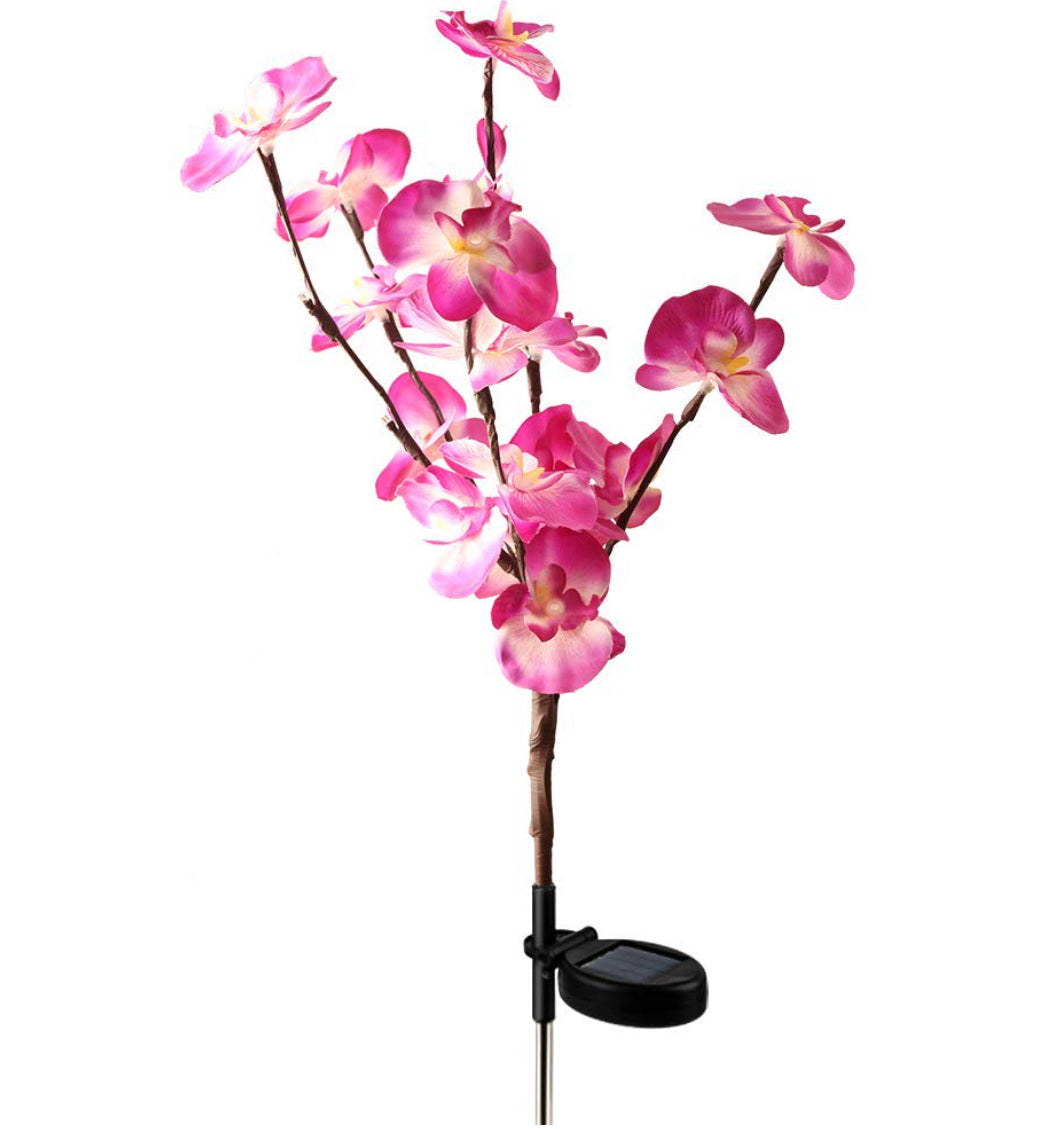 Lot de 2 lampes solaires pour orchidées avec décoloration des fleurs, 40 unités 