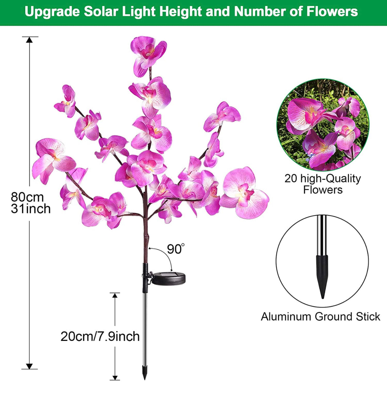 Lot de 2 lampes solaires pour orchidées avec décoloration des fleurs, 40 unités 