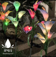 Lot de 4 lampes solaires Calla commun à LED quatre couleurs 