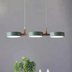 Modern Metal Pendant Ceiling Light with Nordic Design for Kitchen and Living Room