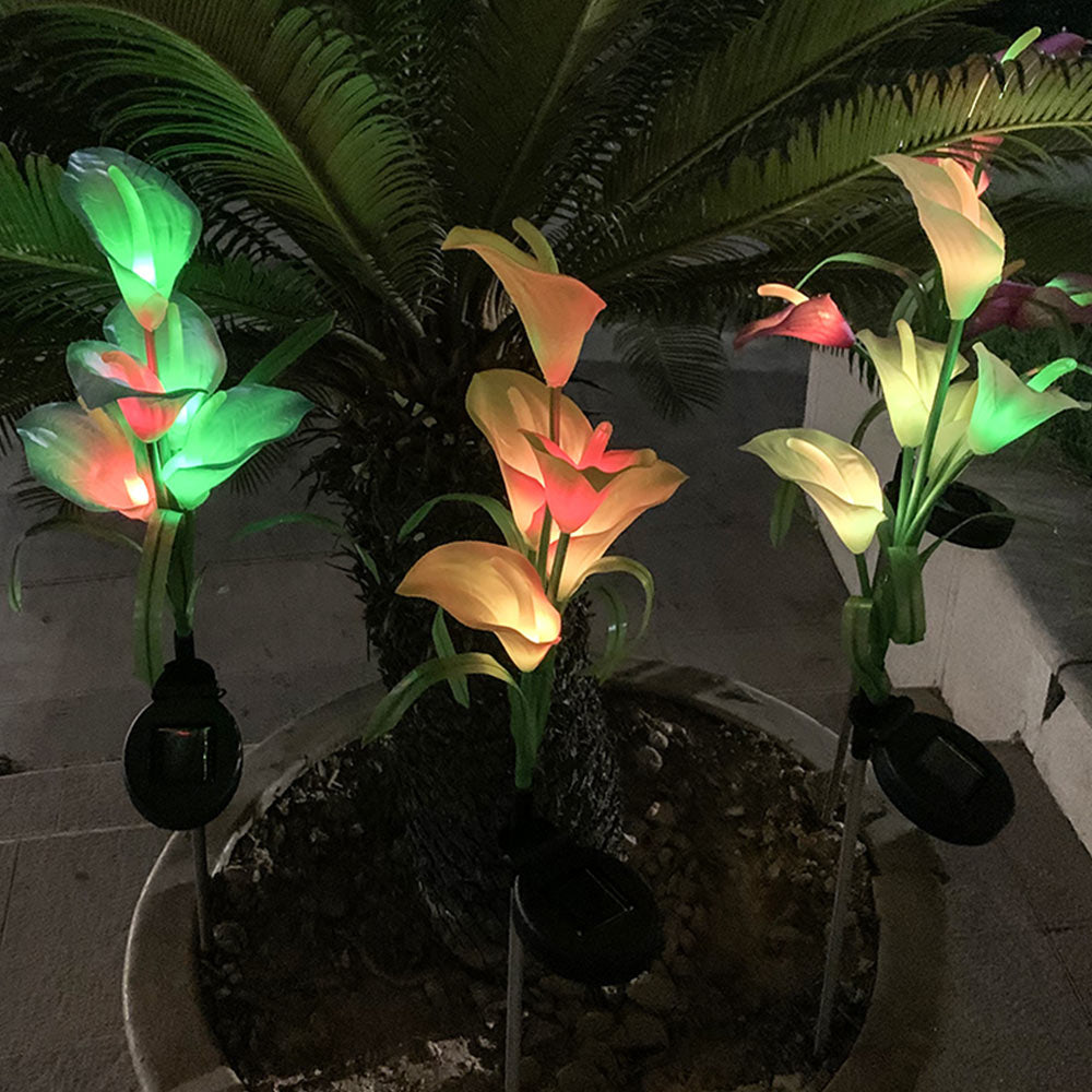 Lot de 4 lampes solaires Calla commun à LED quatre couleurs 